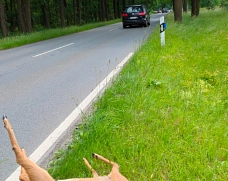 Symbolfoto Wildunfall Ein totes Reh am Straßenrand, ein Auto fährt aus dem Bild.